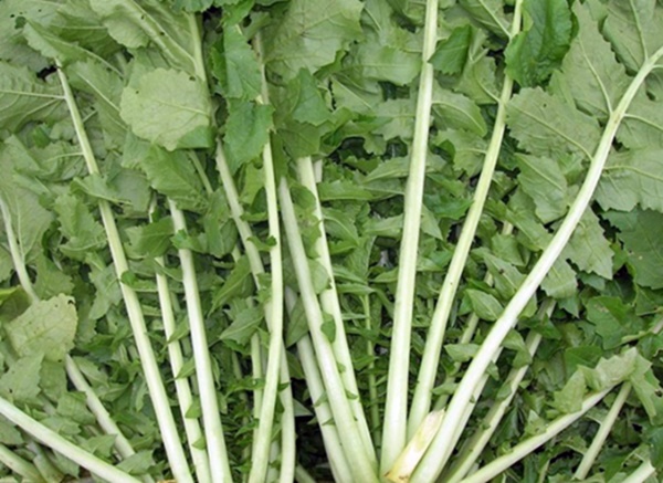 마그네슘이 풍부한 음식