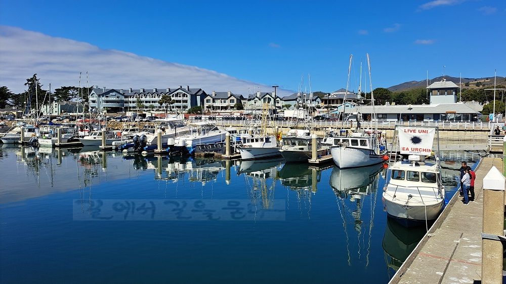 Pillar Point Harbor