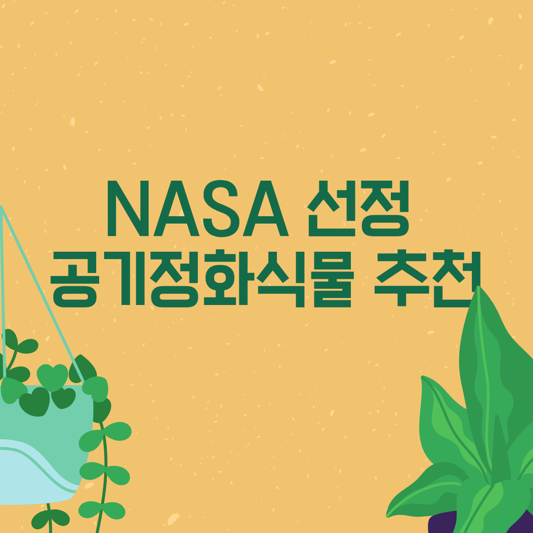 나사(NASA)선정 공기정화식물
