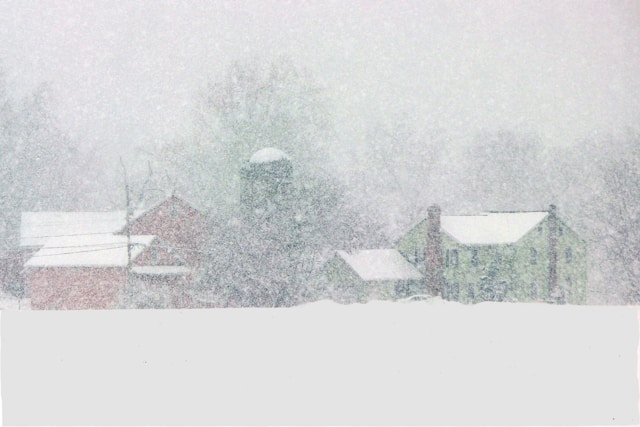 대설특보 유치원 휴원 기준 긴급돌봄 확인법