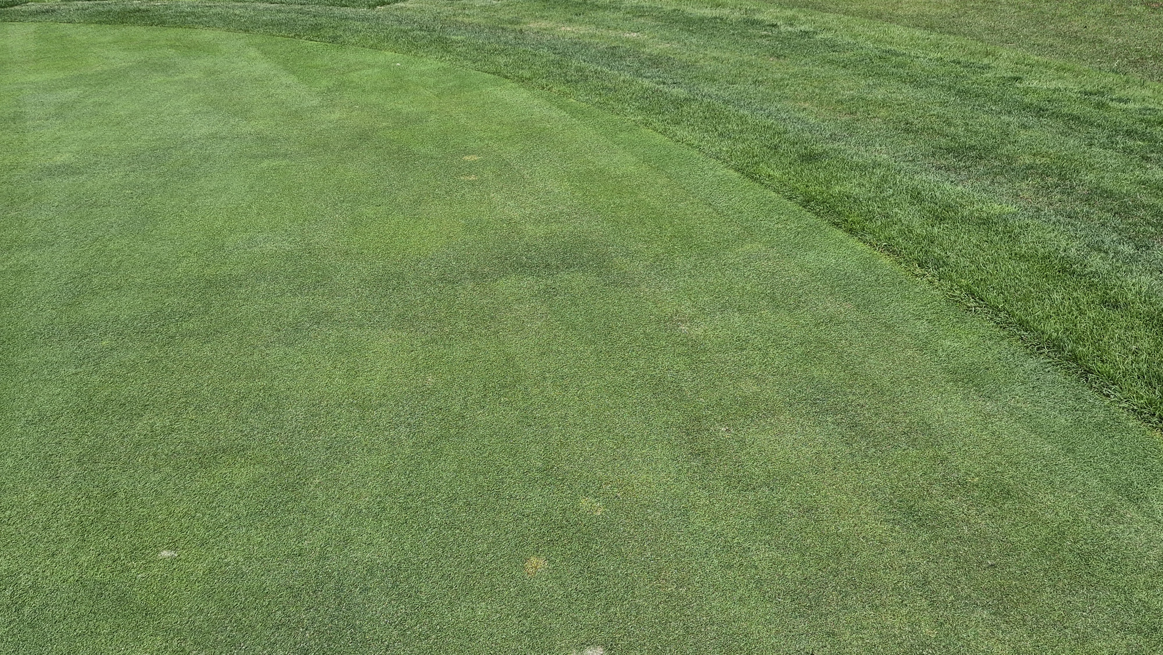 파크밸리gc 라운드 후기