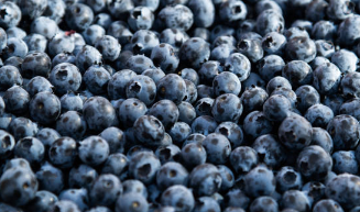 블루베리