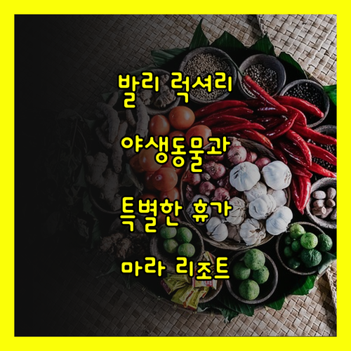 발리 럭셔리 리조트 Mara Rive