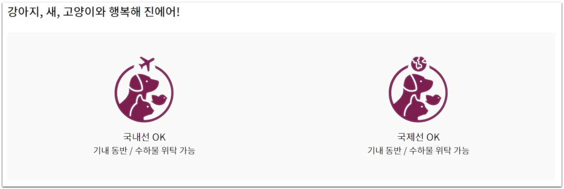 반려견 외 애완동물 비행기 탑승 비용