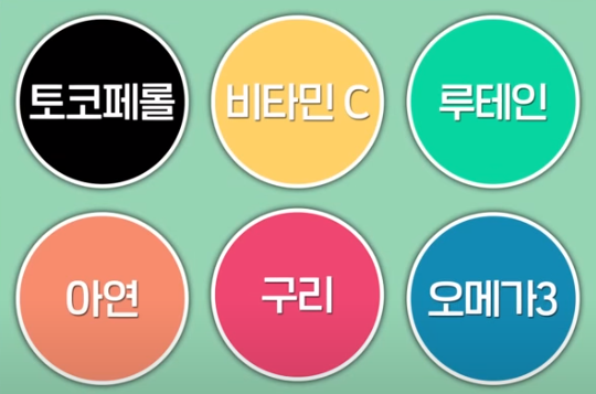 YDY 오큐클리어 성분