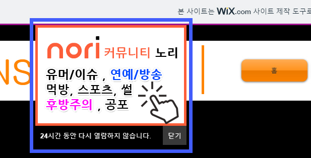 coo.kr 무료 도메인 팝업 광고