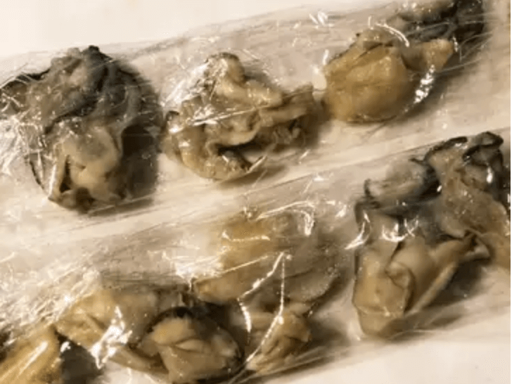 [겨울철 별미] 굴의 여러가지 보관방법 및 보관시기, 한방에 간단정리!!