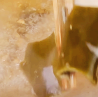 다시마 건지시오