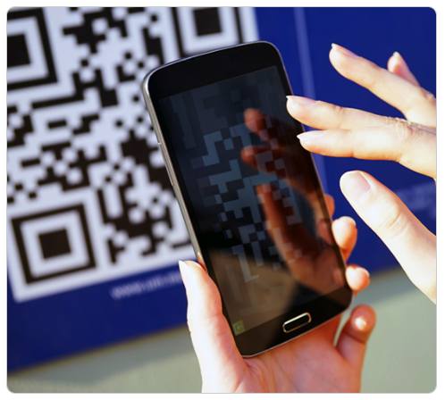 강원 세계산림엑스포