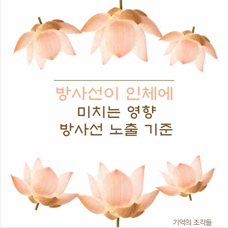 방사선이 인체에 미치는 영향 방사선 노출 기준