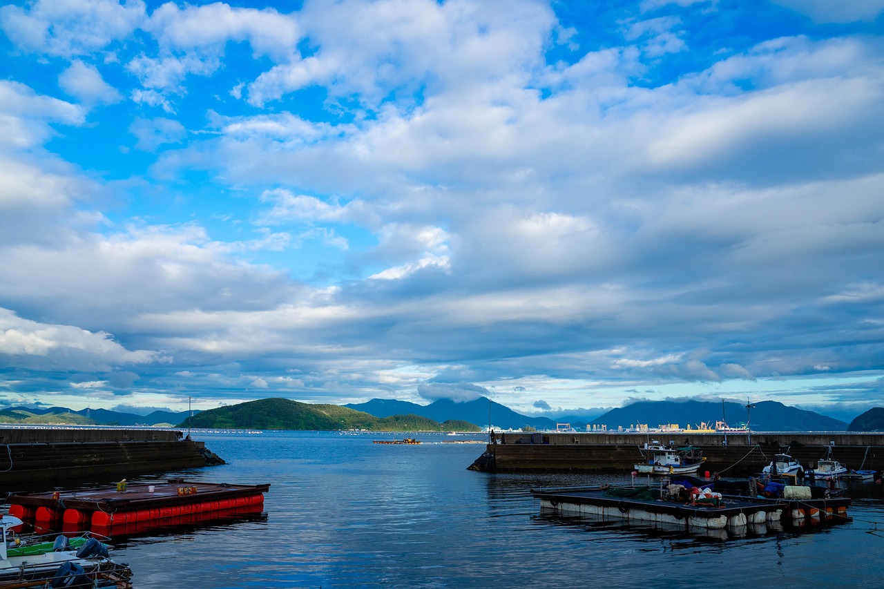 봄맞이 거제 여행 관련 사진