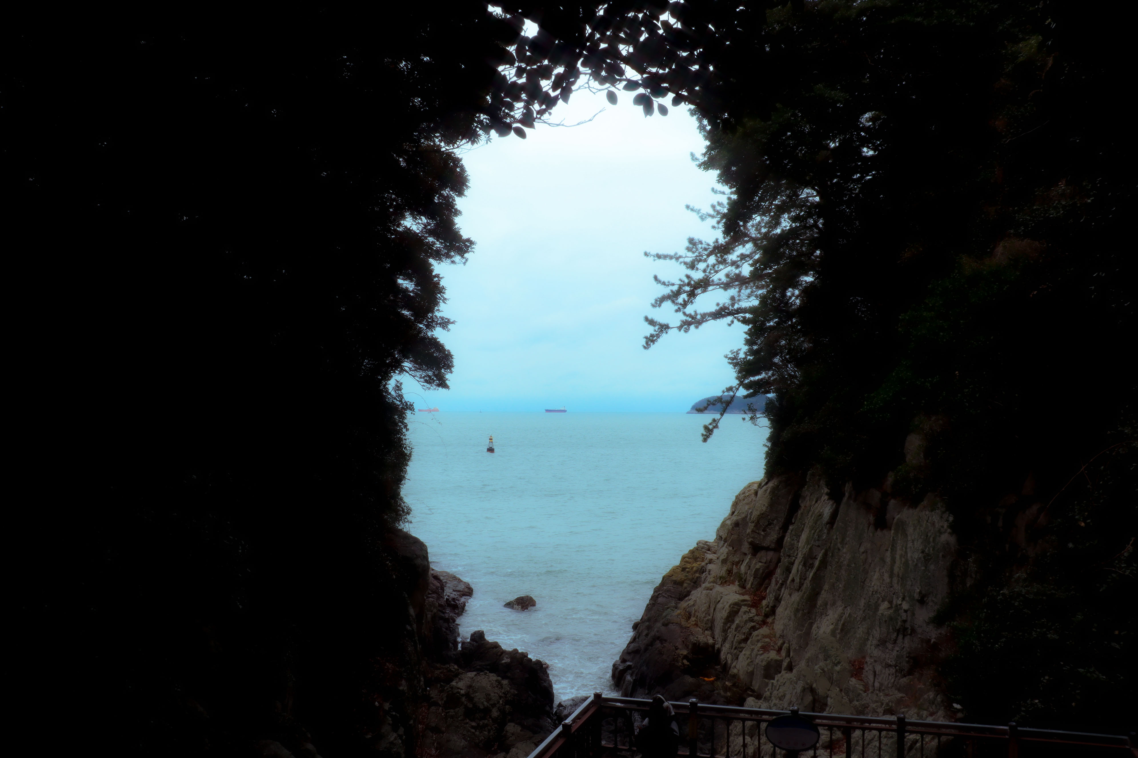 여수 오동도 관련