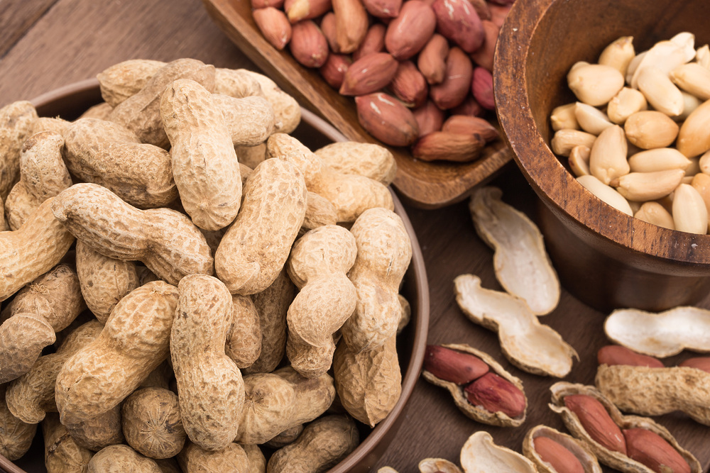 단백질 많은 음식 8가지