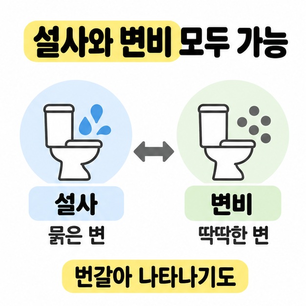 설사의 묽은 변과 변비의 딱딱한 변을 두 변기 기호와 물방울 및 점으로 비교하고 번갈아 나타나기도 한다고 안내한 도식