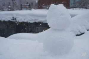 삿포로 축제정보 9