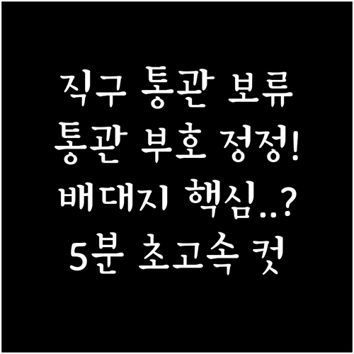 해외 직구 통관 보류 시 개인통관부호..