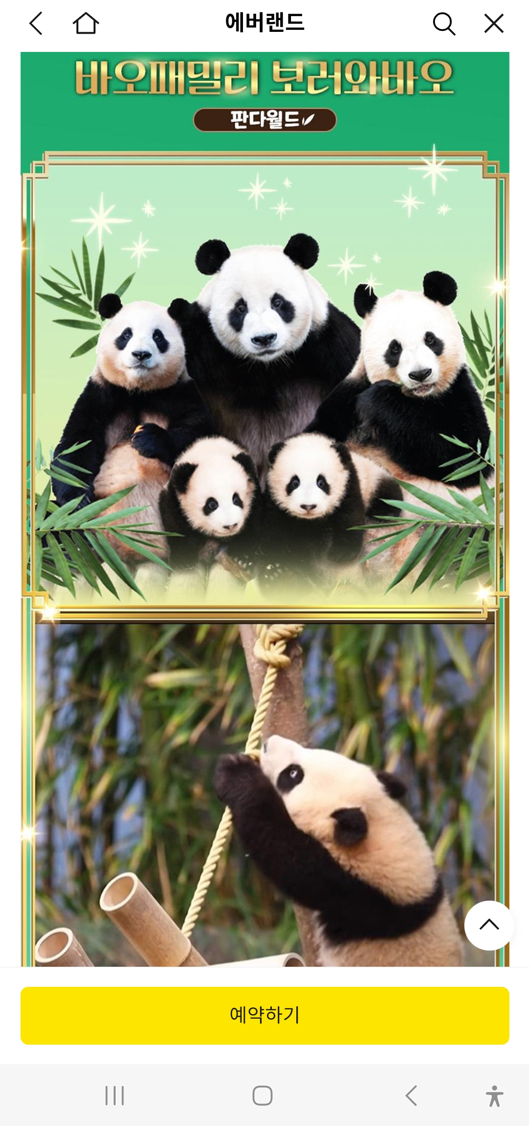 에버랜드 자유이용권 종일권 할인 특가 &amp; 캐리비안베이 이용 주의사항