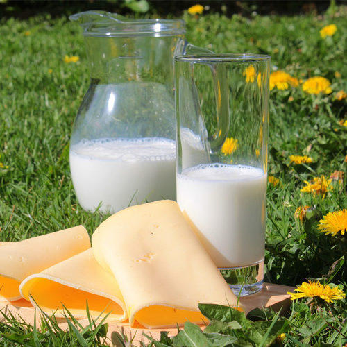 뼈 건강부터 숙면까지, 유제품이 다 했어요!. 유제품 알고 먹기