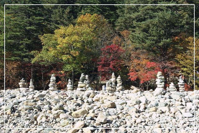 설악산 케이블카 주차정보_98