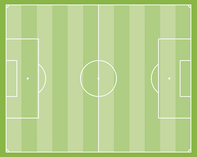 2022월드컵한국vs브라질