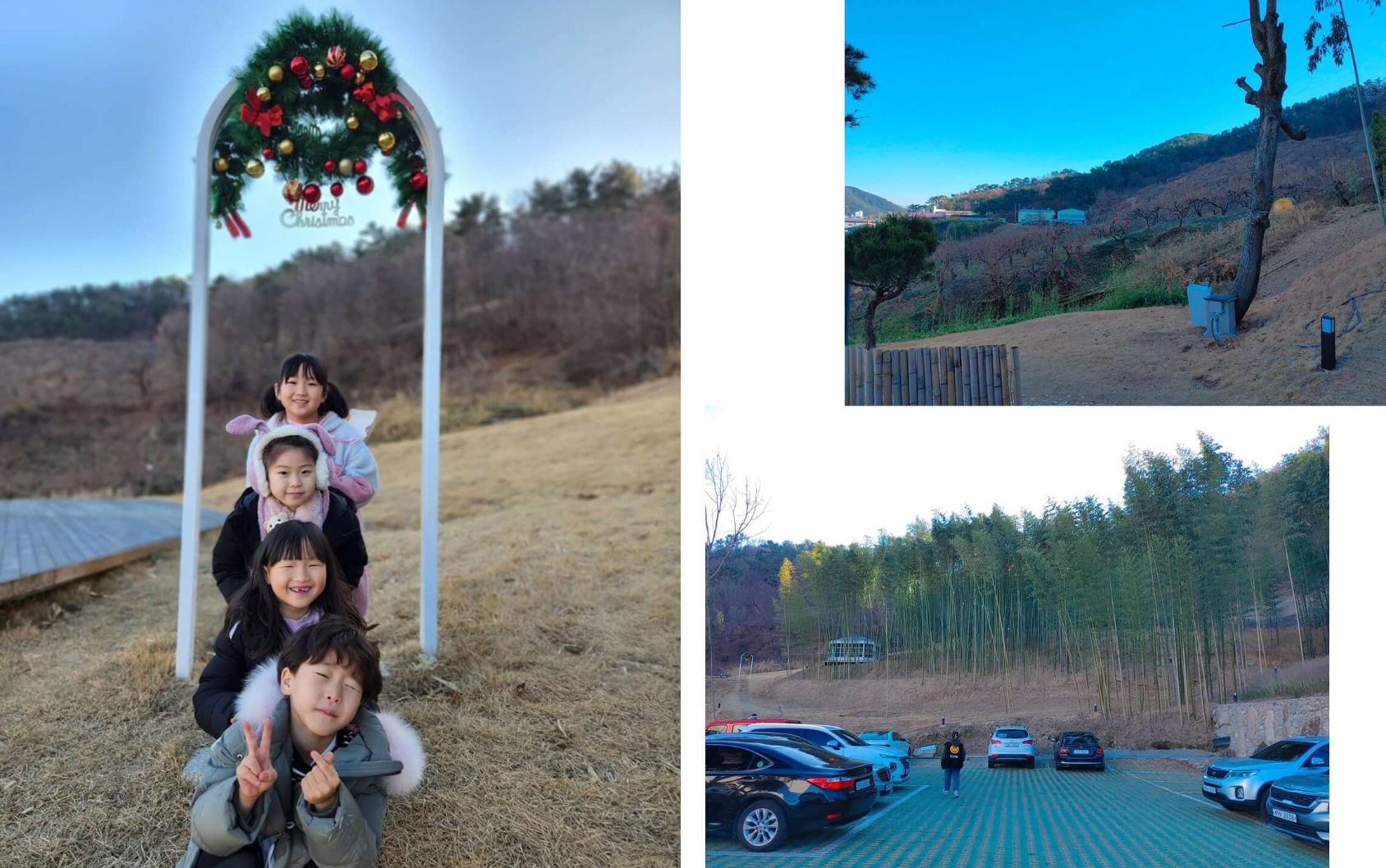 김해-주촌-라포레이팝-대나무