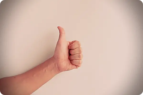 인정하는 손짓 01