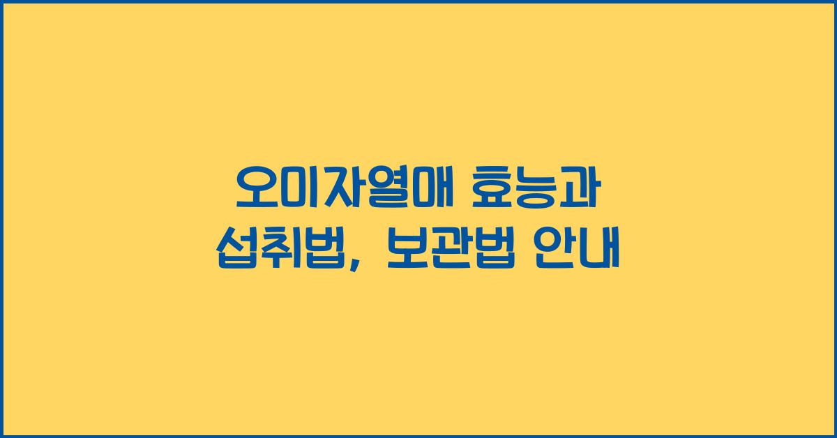 오미자열매
