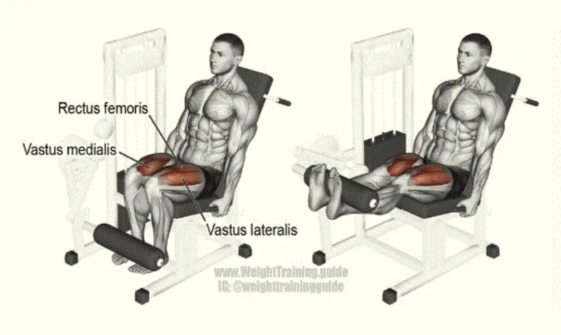 레그익스텐션-기구-운동하는-남자-일러스트