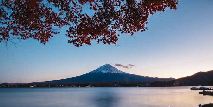 일본 대마도 당일치기