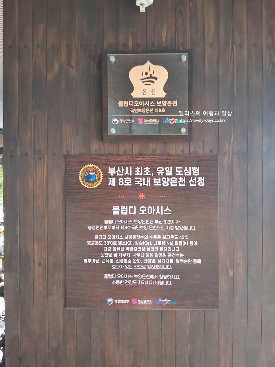 클럽디오아시스 겨울 가격 할인 청수당 준비 후기