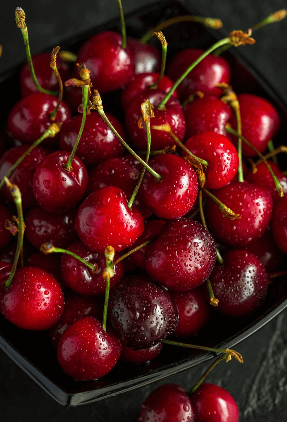 체리 사진 - 10