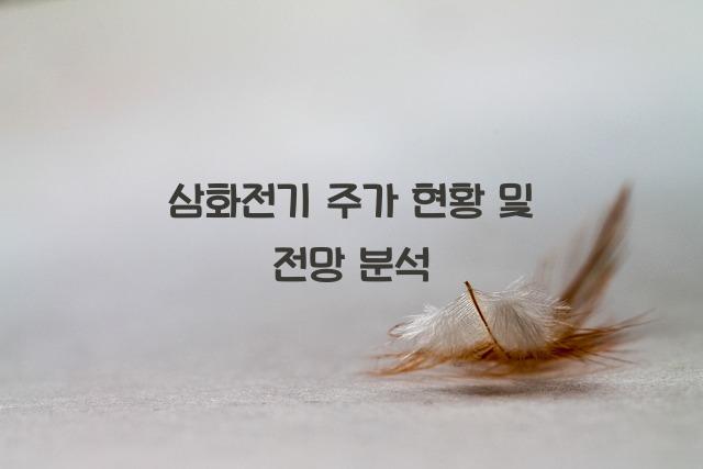 삼화전기 주가