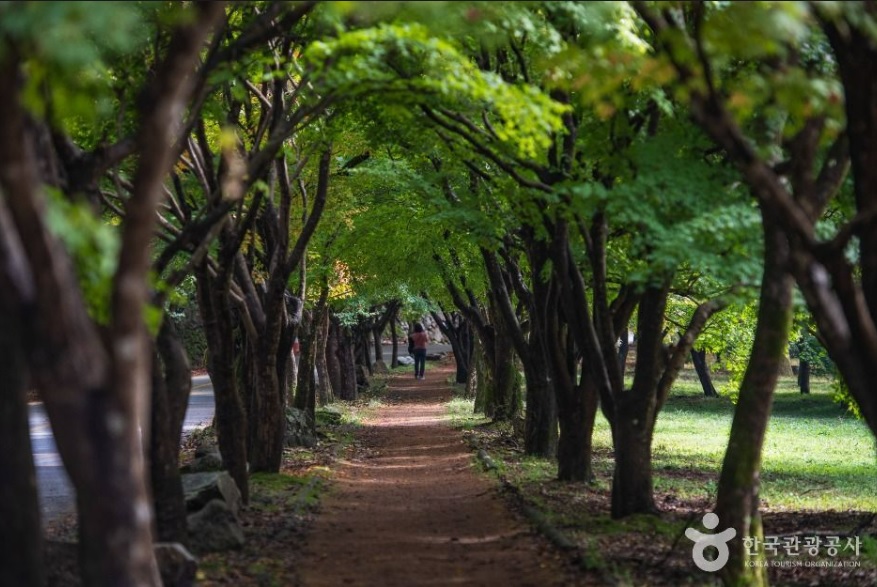 정읍 내장산 자연휴양림