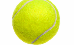 테니스공
