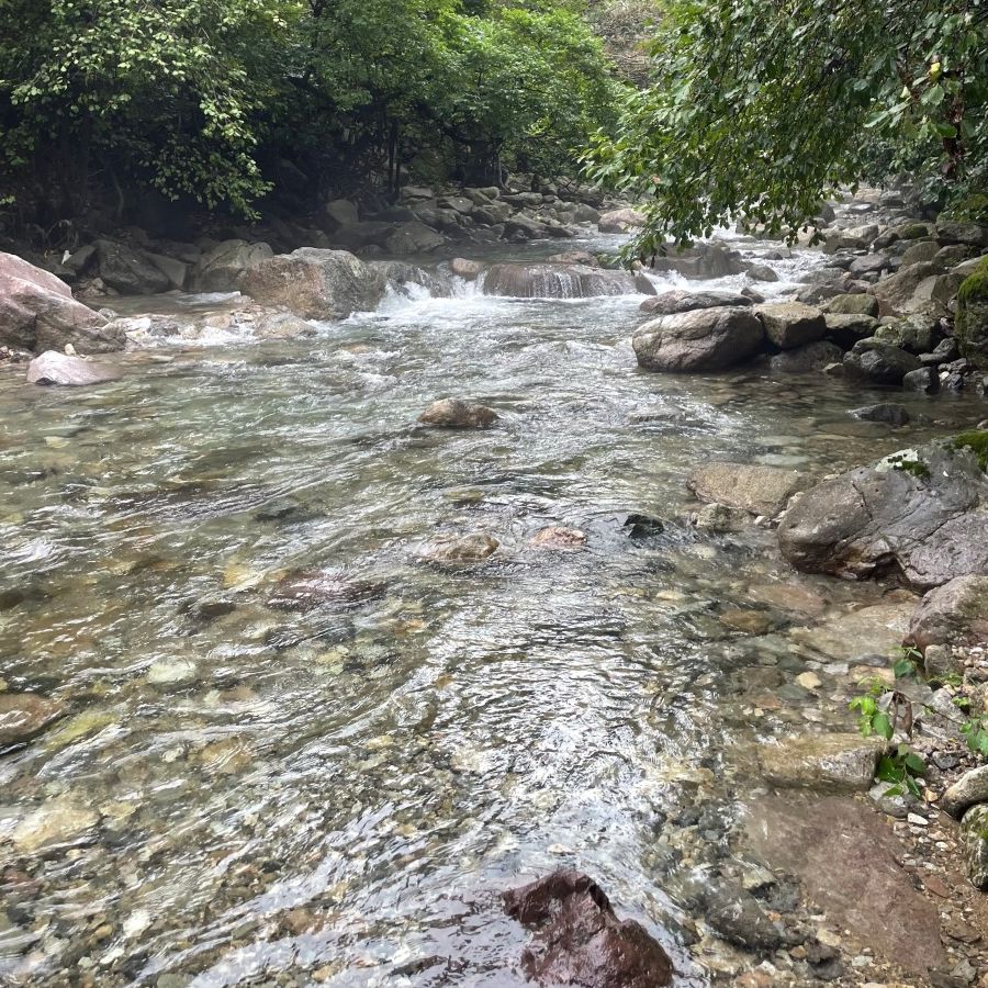 지장산계곡