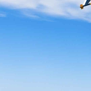 경기도 양주 드론봇 페스티벌