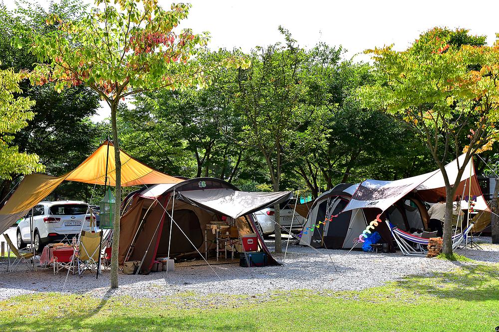 경기도 포천 노원힐링캠핑장 소개