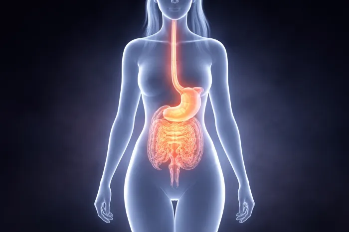 역류성식도염에 좋은 음식