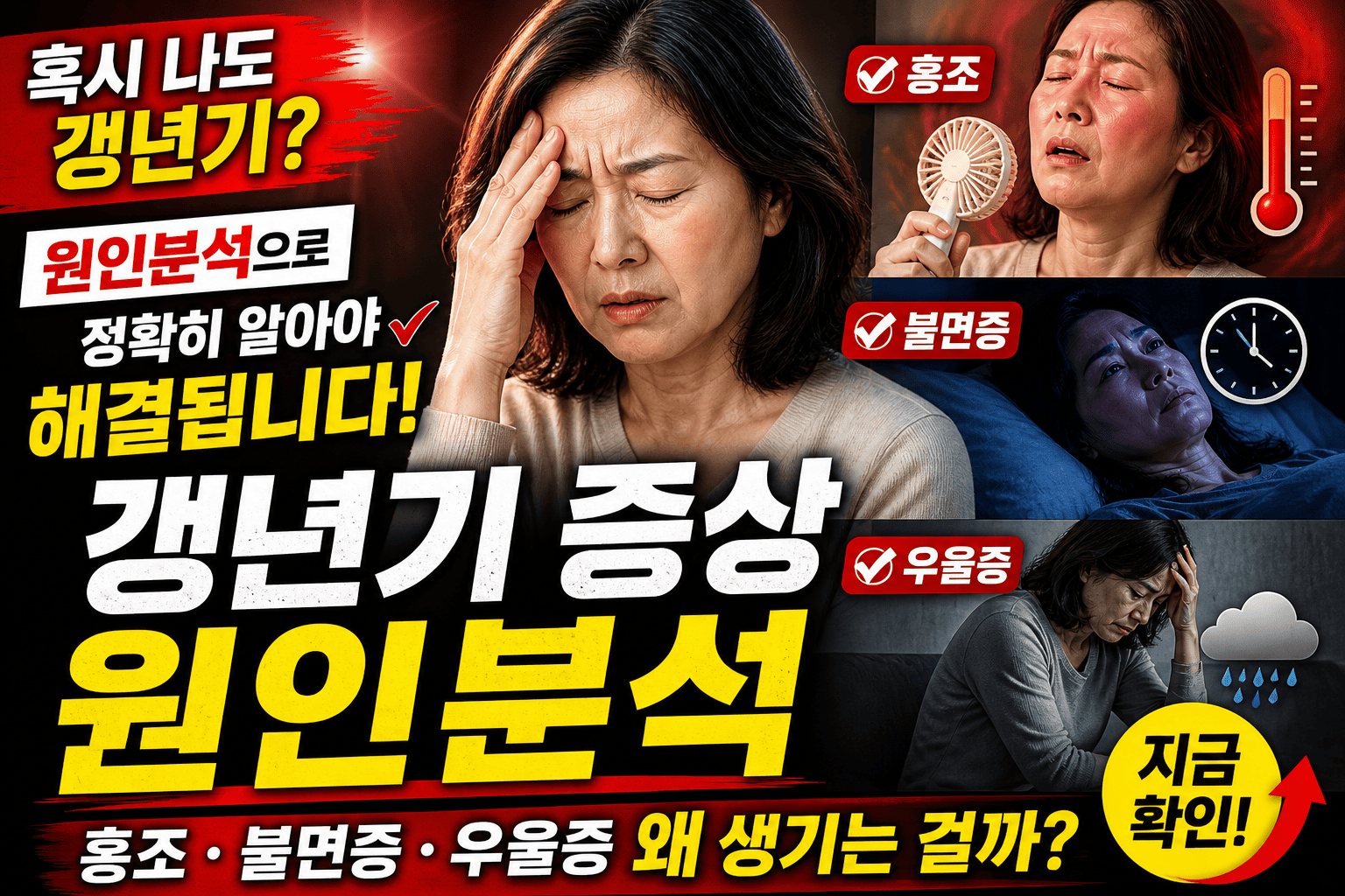갱년기 증상 원인분석 (홍조, 불면증, 우울증)