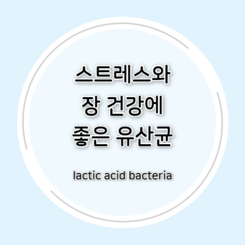 스트레스와 장 건강에 좋은 유산균