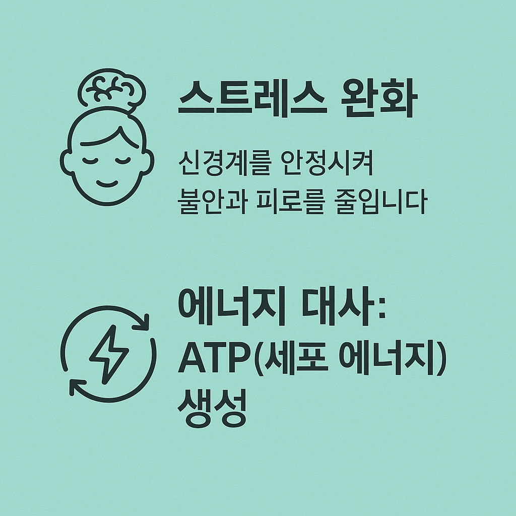 마그네슘 부족현상 증상과 해결 방법