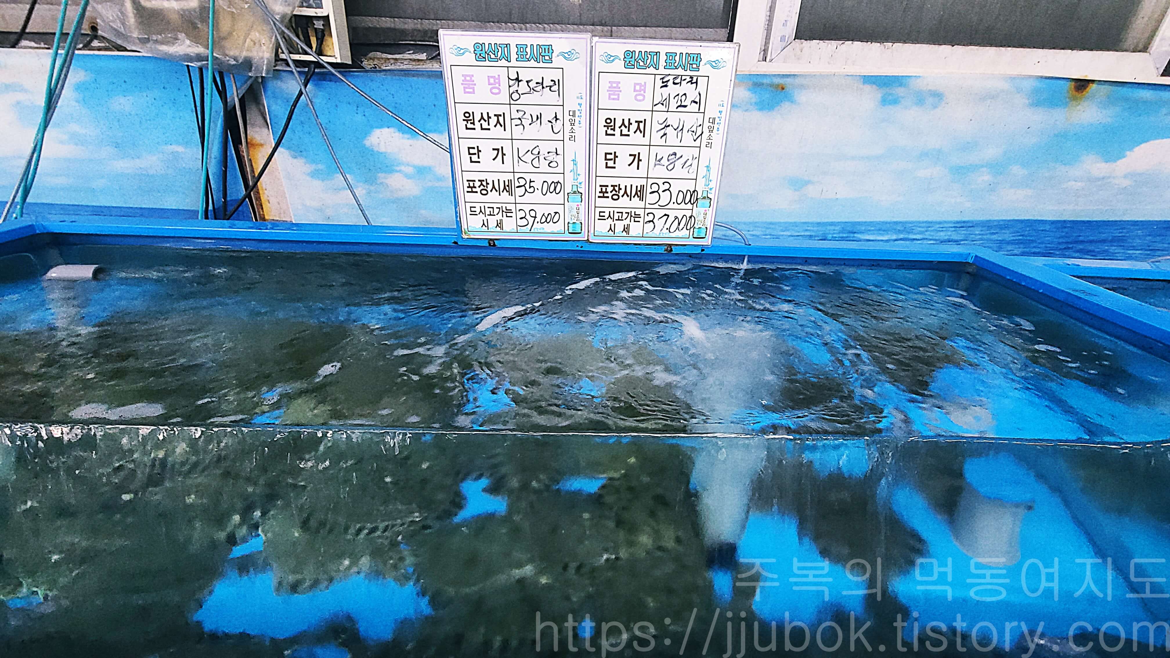 인천-작전동-싱싱활어-종합어시장-내부-수조-4