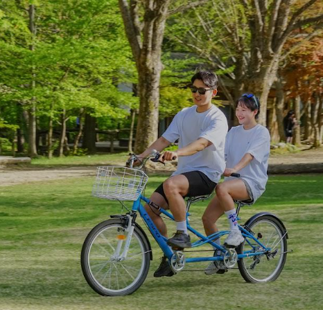 남이섬 엑티비티