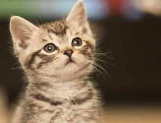 전립선암 초기증상 31