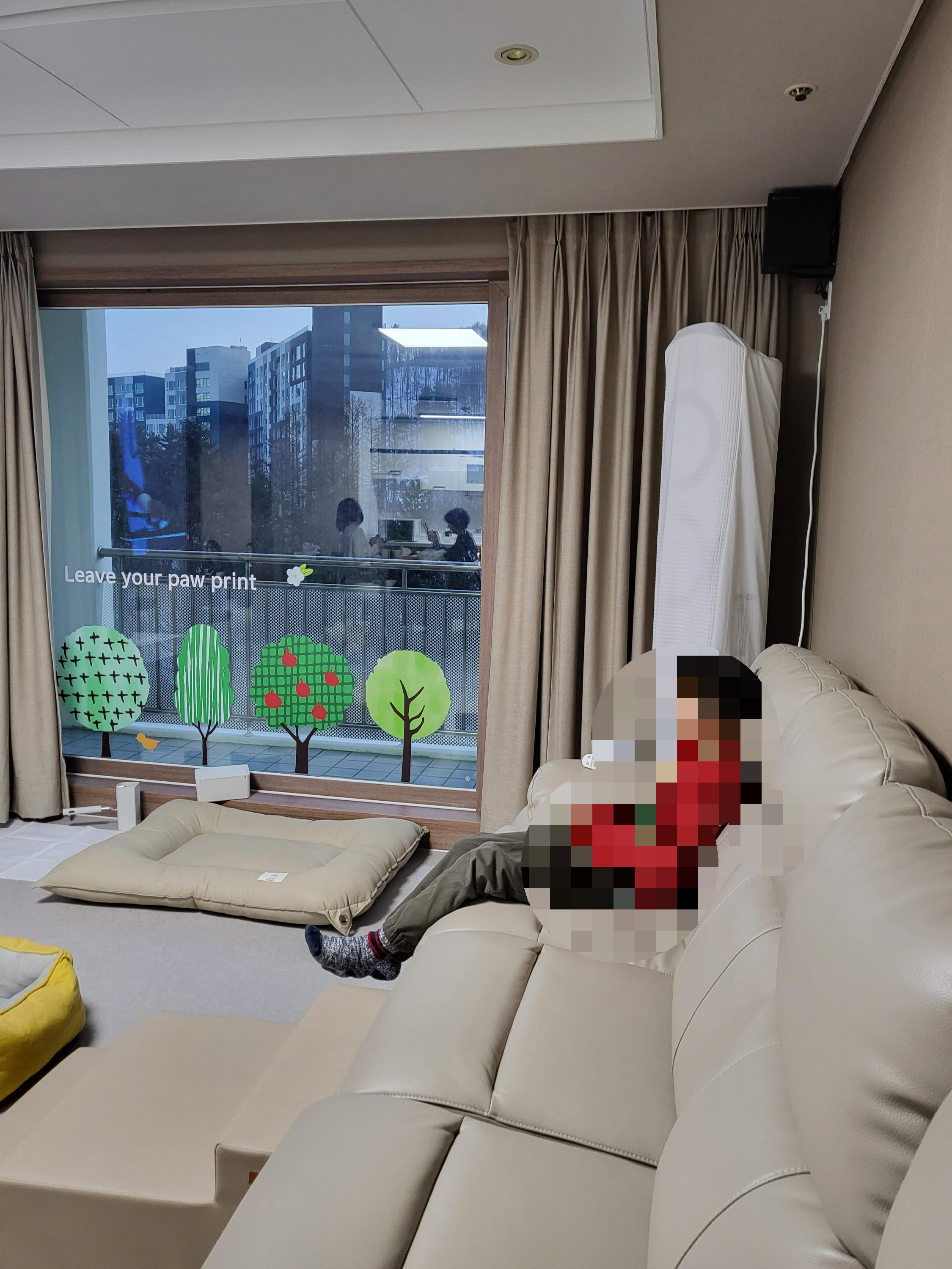 휘닉스평창스키학교