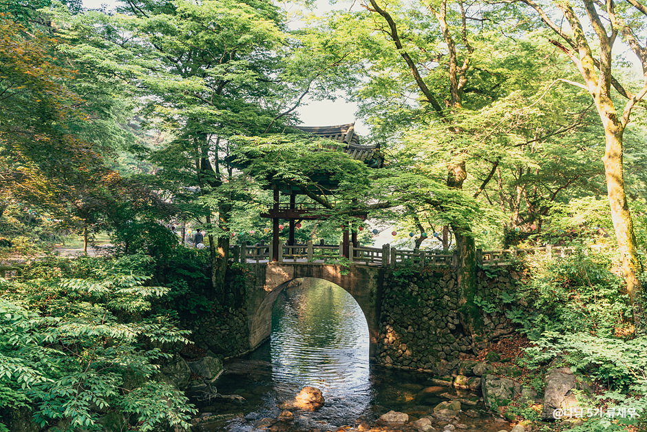 구례 가볼만한곳 베스트 10