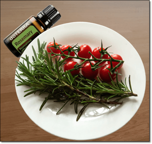 로즈마리 토마토 로즈마리오일