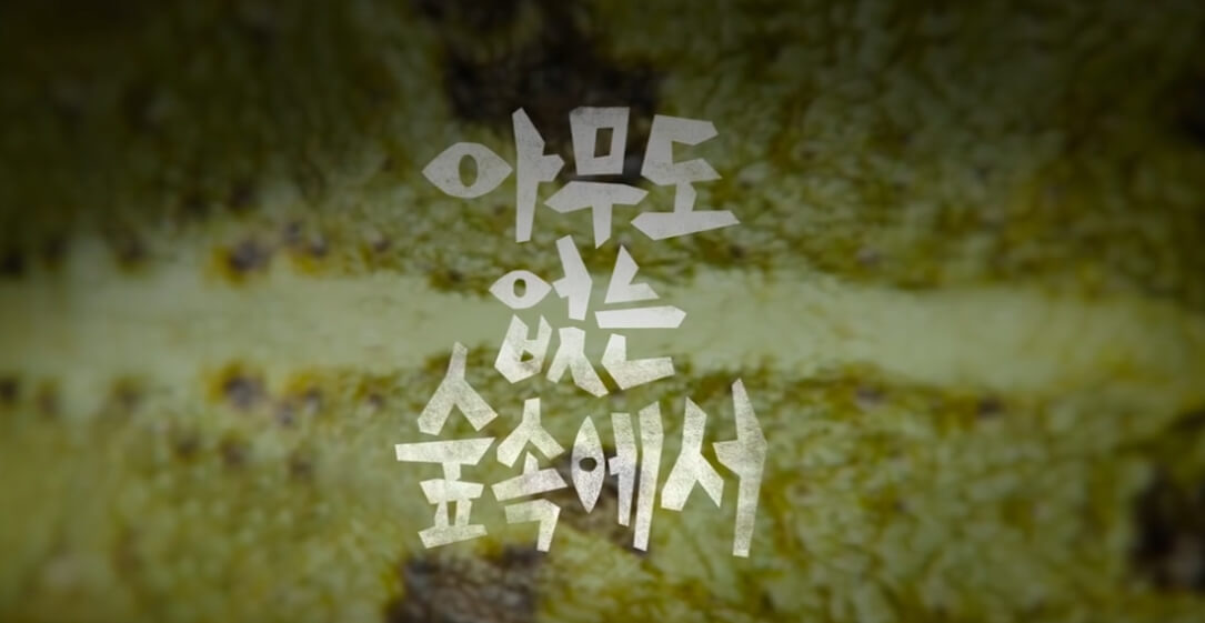 아무도 없는 숲속에서