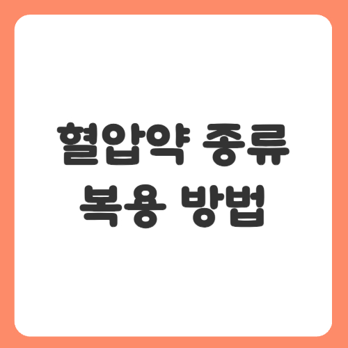 혈압약 종류와 복용 방법 안내
