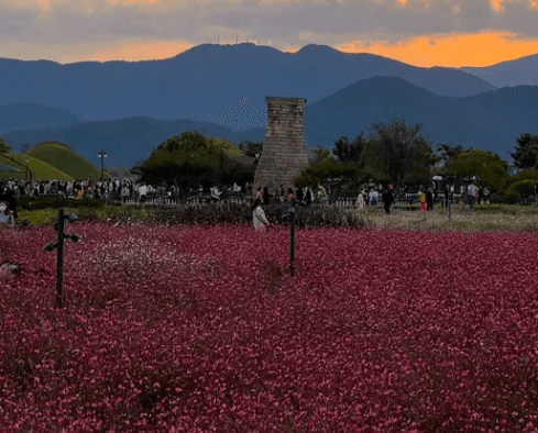 경주 첨성대-트립닷컴 출저